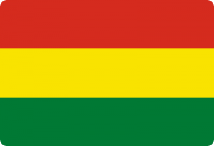 bandeira bolivia flag 41 300x205 - Drapeau de la Bolivie