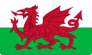 bandeira wales flag 41 300x180 - Drapeau du pays de Galles
